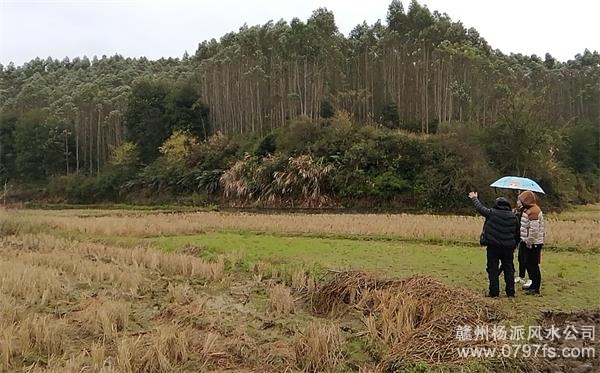 宿迁陈老师带着爱徒寻龙点穴